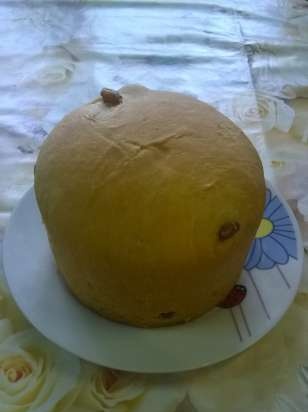 Kulich with Myasoedovskaya in the oven (master class)