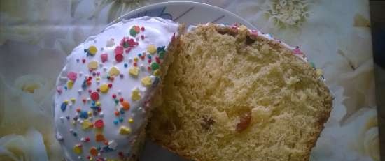 Kulich with Myasoedovskaya in the oven (master class)