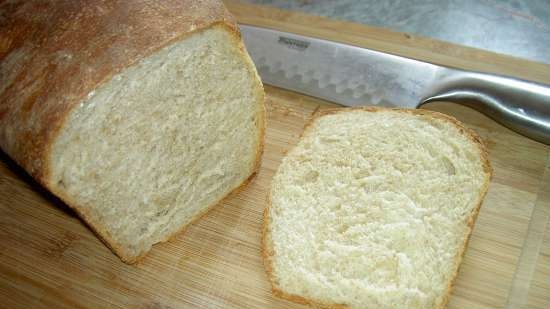 Pane grigio su birra leggera in una macchina per il pane