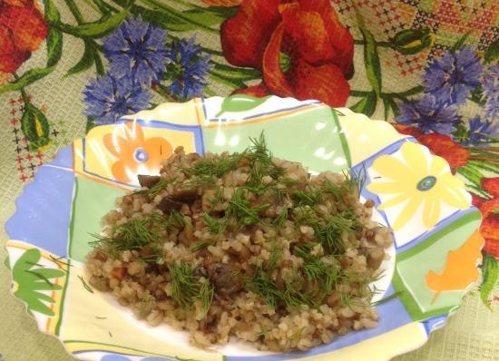 Porridge of four types of cereals with mushrooms in a multicooker Steba DD2