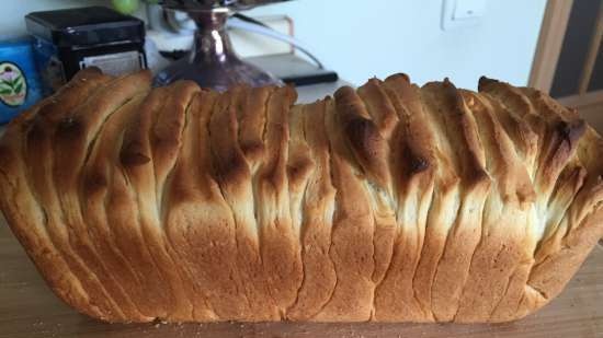 Italyano na tinapay na Pane al latte Fisarmonica sa oven