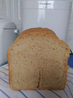 Pane bianco quotidiano con lievito vivo / pressato in una macchina per il pane Panasonic SD-2500