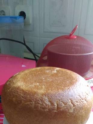 Bread with whole grain flour and oat bran (in a multicooker Redmond RMC-02)