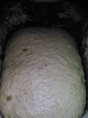 Bread with oatmeal, bran, sesame and seeds