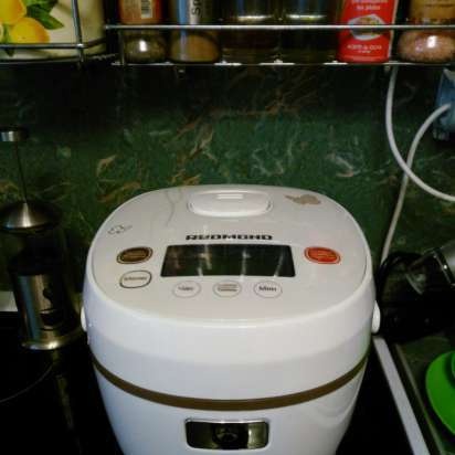 Multicooker Redmond RMC-01