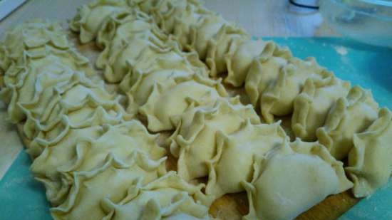 Dumplings en dumplingsvorm