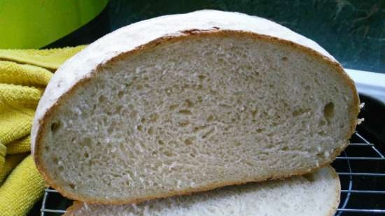 Pane all'erba medica