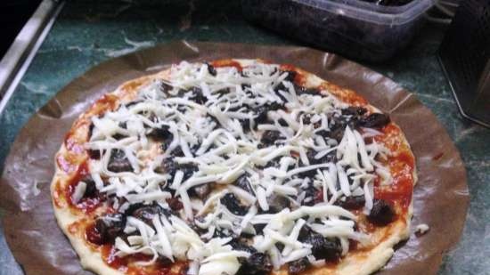 horno para pizzas