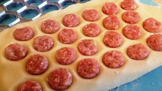 Preparación de albóndigas y no solo en moldes de hielo de silicona