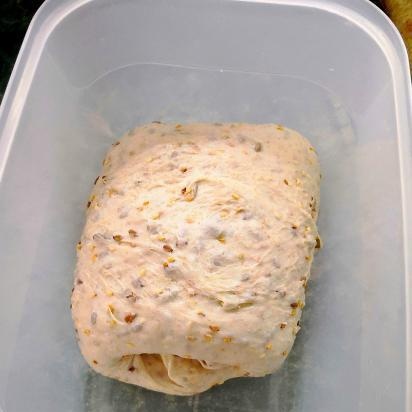 Pane di baguette Multigrain, preparato con lievito naturale al 50% di umidità