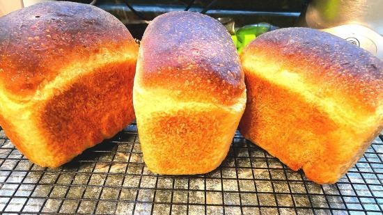 Eternal yeast, potato-hop (Sourdough without flour). Baking recipes.