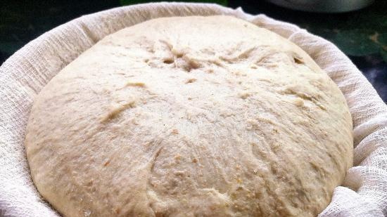 Eternal yeast, potato-hop (Sourdough without flour). Baking recipes.