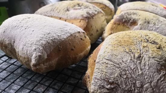 Rodzina urządzeń kuchennych Ninja