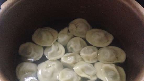 Dumplings en dumplingsvorm