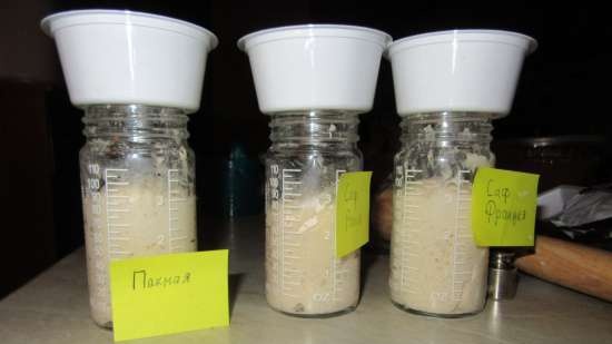 Yeast - types, use, bookmark, selection