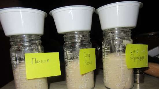 Yeast - types, use, bookmark, selection