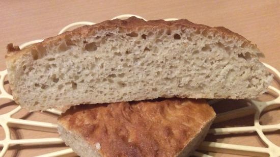 Pane notturno svedese Lenivka (senza impastare)