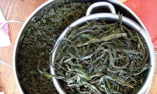 Fermented tea made from leaves of garden and wild plants (master class)