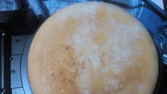 Maszyna do pieczenia Tortilla Chef 118000 Princess