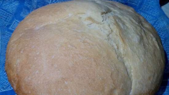 Sourdough Cel mai simplu