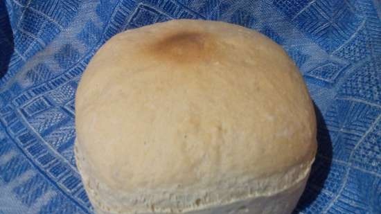 Sourdough Cel mai simplu