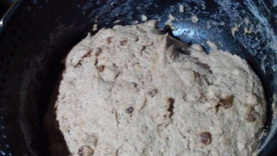 Sourdough rye bread with raisins and caraway seeds (Tortilla Chef Princess 118000 baking machine)