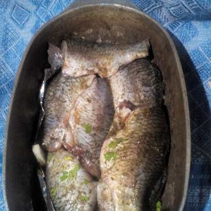 Khmelnytsky crucian carp ตามสูตรของ Hanna Grabovskaya (Tortilla Chef 118000 Princess)