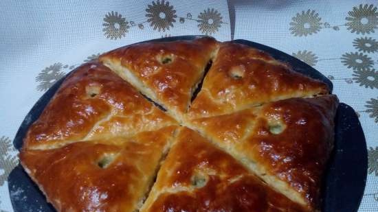 Pasticcini con frattaglie in panna acida; con cavolo cappuccio sbollentato con uova, ecc., nei pizzaioli Princess e Travola