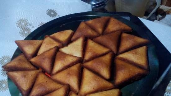 Mini ekspres samsa od Princess Samboussa maker