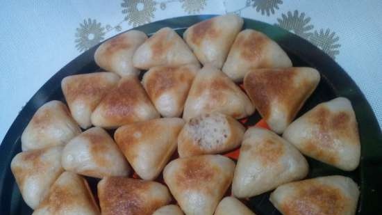 Mini ekspres samsa od Princess Samboussa maker