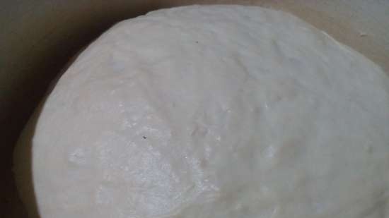 Ciabatta Tortillana (Tortilla Chef 118000 Princess bakeware)