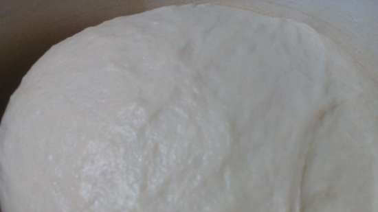 Ciabatta Tortillana (Tortilla Chef 118000 Princess bakeware)