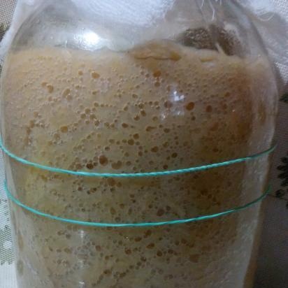 ยีสต์นิรันดร์มันฝรั่งฮอป (Sourdough ไม่มีแป้ง)สูตรการอบ