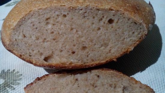 Eternal yeast, potato-hop (Sourdough without flour). Baking recipes.