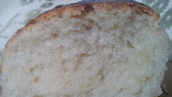 Eternal yeast, potato-hop (Sourdough without flour). Baking recipes.