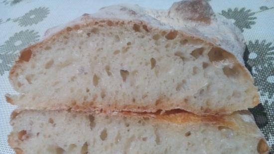 Ciabatta fermentovaná s 50% vlhkostí