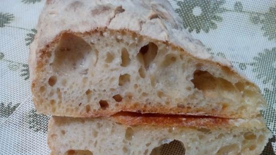 Eternal yeast, potato-hop (Sourdough without flour). Baking recipes.