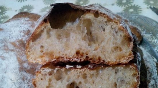 Ciabatta fermentato con il 50% di umidità