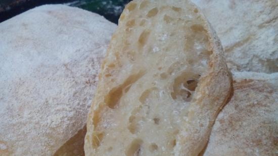 Eternal yeast, potato-hop (Sourdough without flour). Baking recipes.