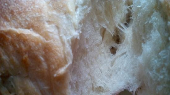 Eternal yeast, potato-hop (Sourdough without flour). Baking recipes.