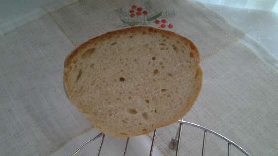 Baguette "istantanee" (3 ore prima)