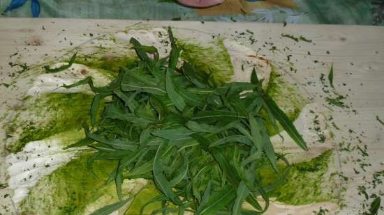 Ivan tea (fermentation of fireweed leaves) - master class