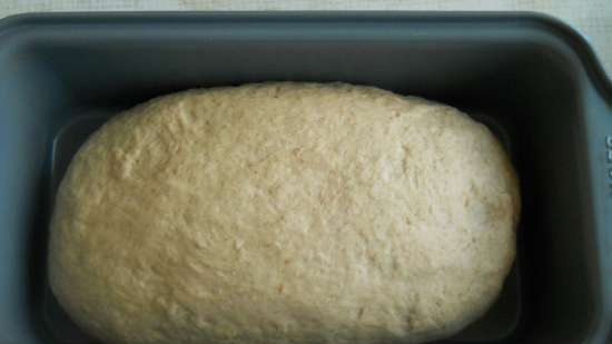 Pane contadino (grano-segale)