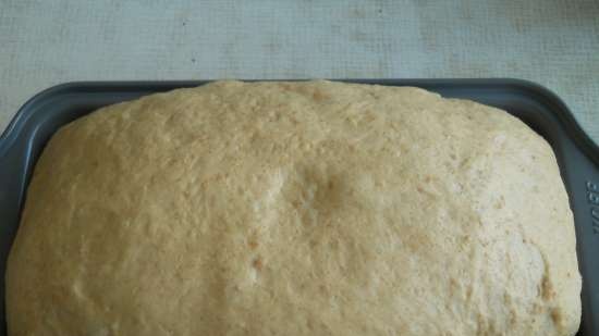 Pane contadino (grano-segale)