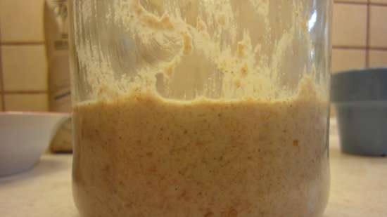 Pane di grano a lievitazione naturale a base di chicchi di grano germogliati da zero (al forno)