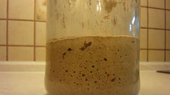 Pane di grano a lievitazione naturale a base di chicchi di grano germogliati da zero (al forno)