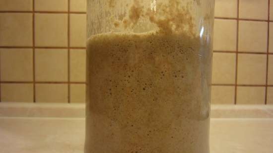 Pane di grano a lievitazione naturale a base di chicchi di grano germogliati da zero (al forno)