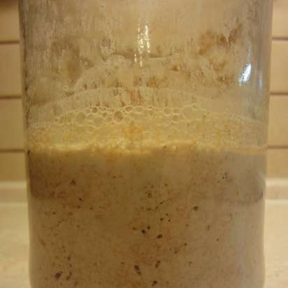 Pane di grano a lievitazione naturale a base di chicchi di grano germogliati da zero (al forno)