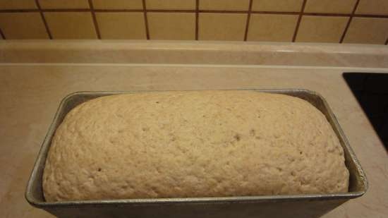 Pane di grano a lievitazione naturale a base di chicchi di grano germogliati da zero (al forno)