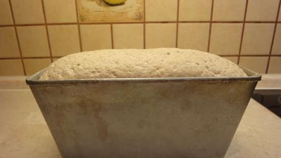 Pane di grano a lievitazione naturale a base di chicchi di grano germogliati da zero (al forno)